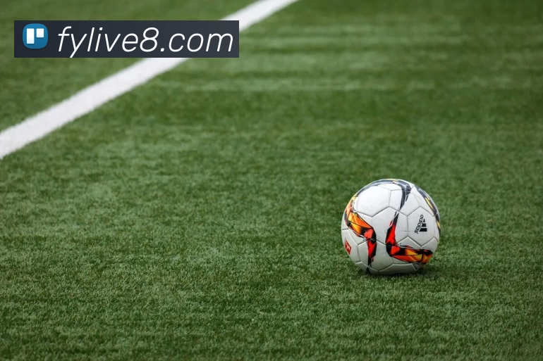 风云直播官网发展历程