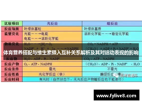 体育营养搭配与维生素摄入互补关系解析及其对运动表现的影响