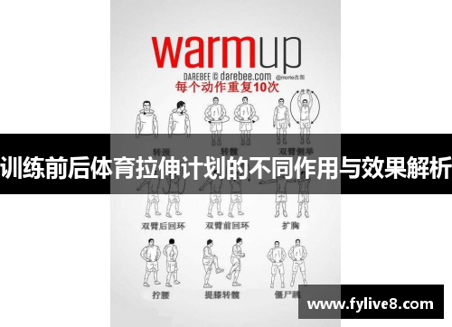 训练前后体育拉伸计划的不同作用与效果解析